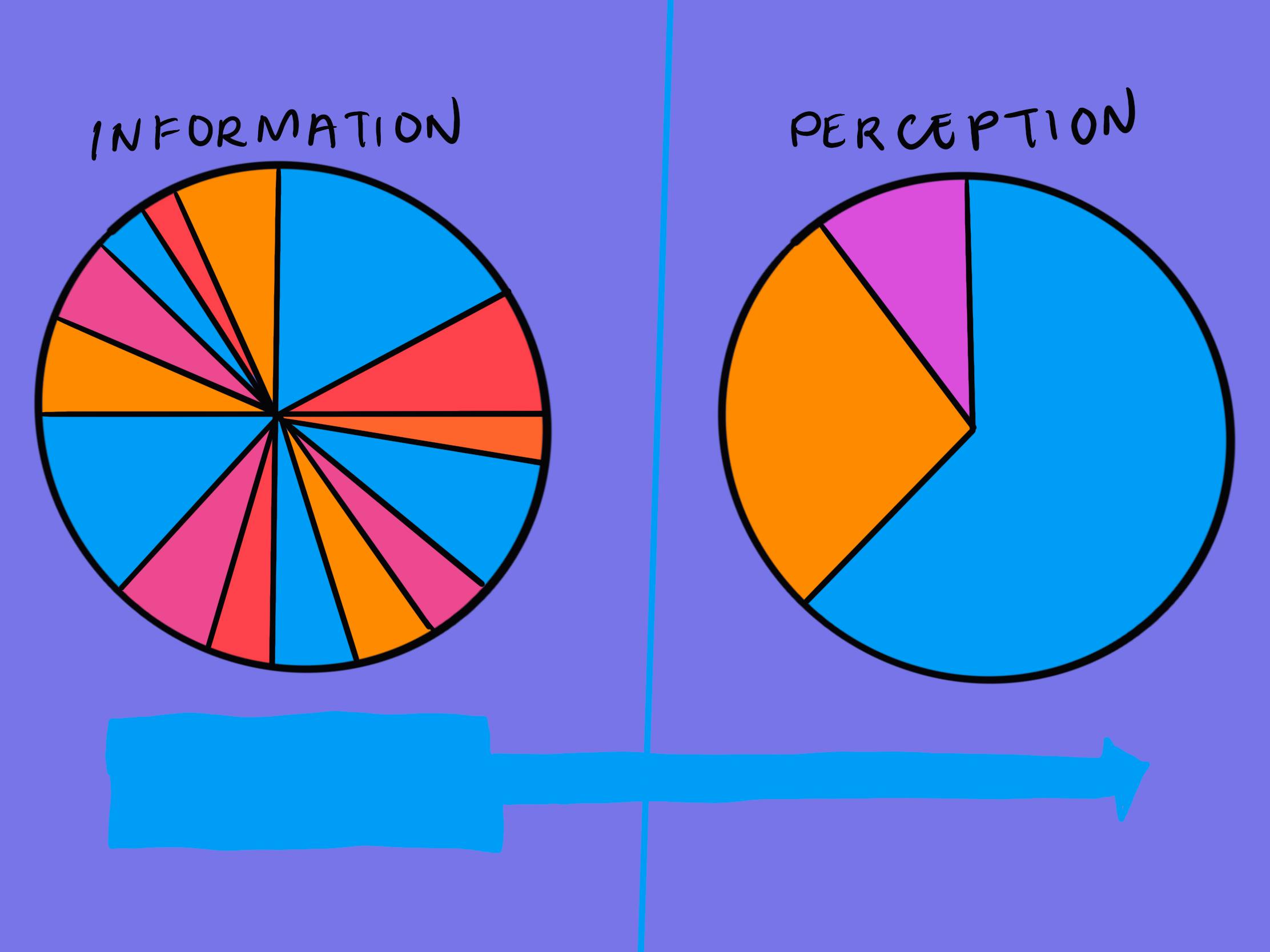 An illustration shows two pie charts labeled "Information" and "Perception." The "Information" chart is divided into many small, colorful sections, while the "Perception" chart has fewer, larger segments.